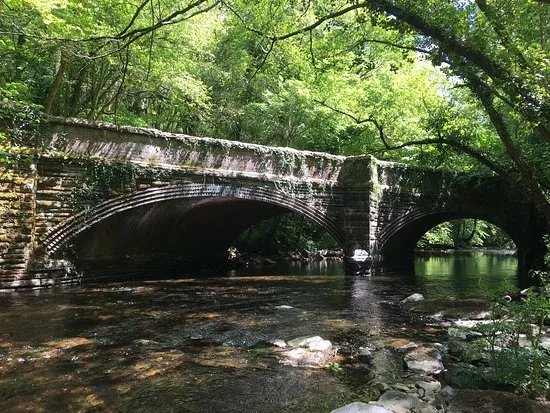 Loddiswell Walk & the Middle Avon Valley