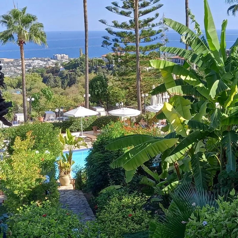 Bellapais Gardens