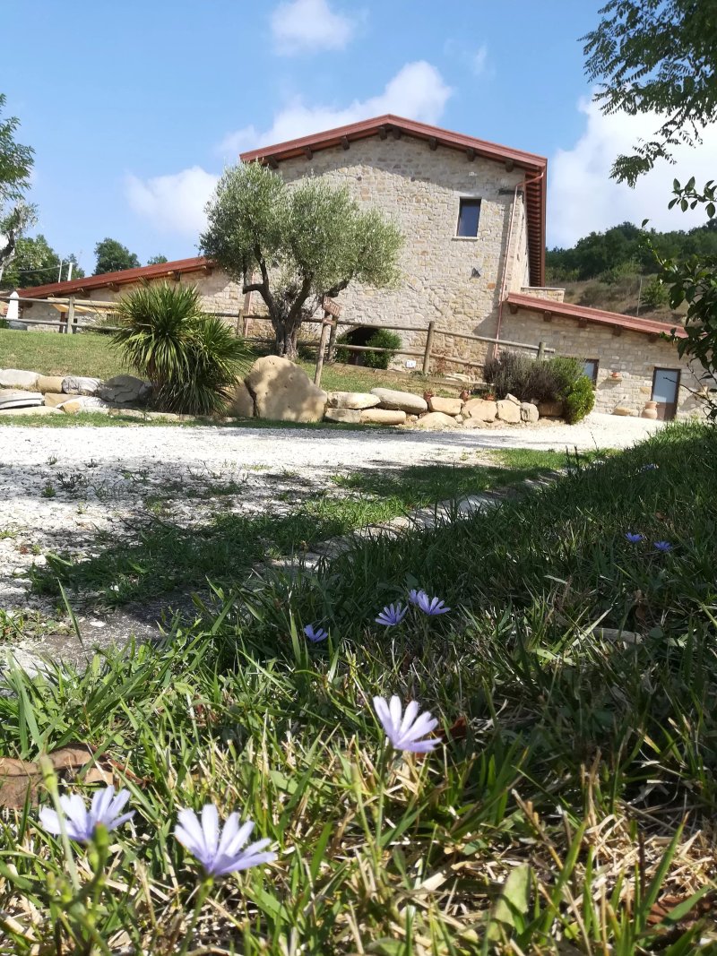 Azienda Agrituristica Masseria Lamione