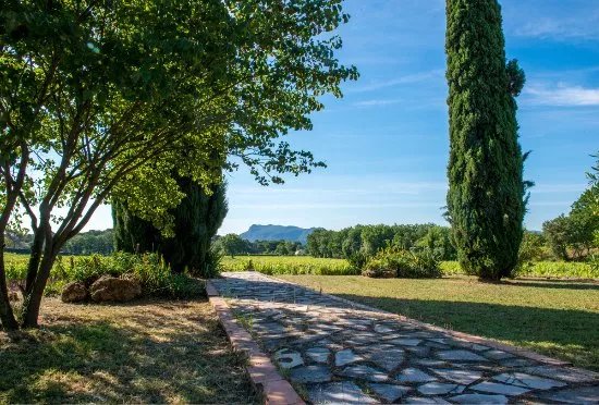 Chateau Reva