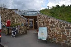 The Burrow