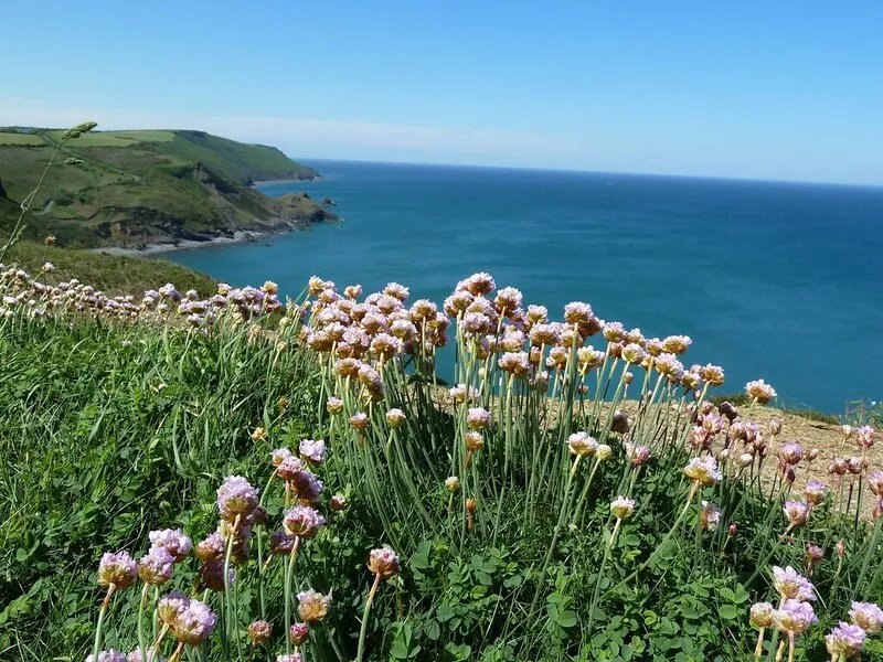 Rusey Cottage, Crackington Haven, Bude, amazing location, stunning views.