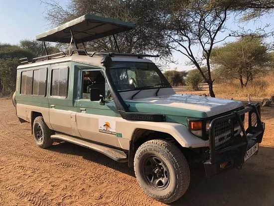 Tanzania Safari Tour