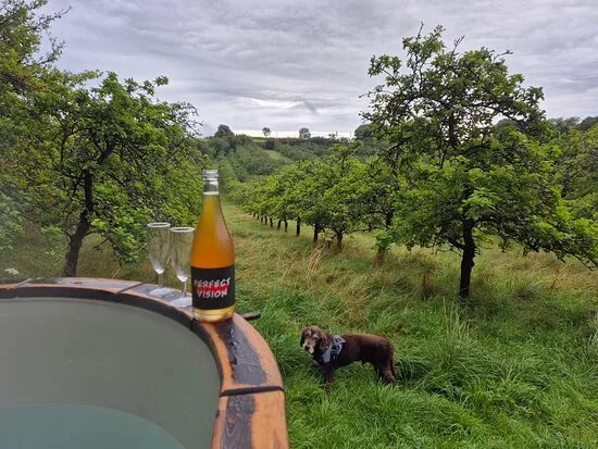 The Orchard - Dorset Star Cider