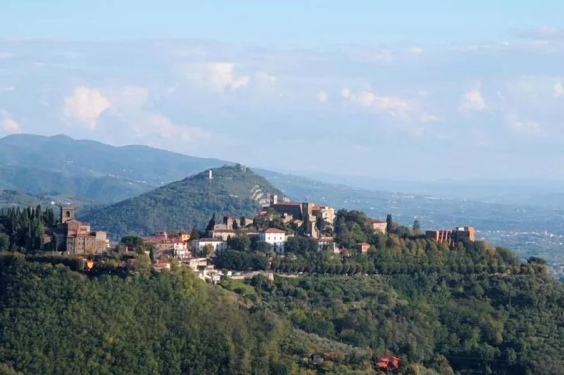 Vacation home Il Salicone  in Montecatini Terme, Florence Countryside - 16 pers