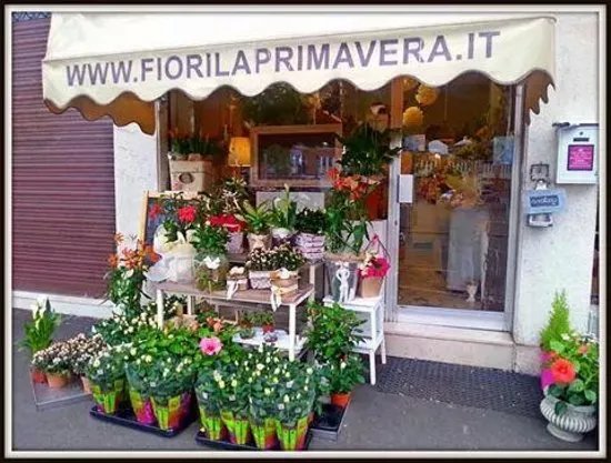 La Primavera