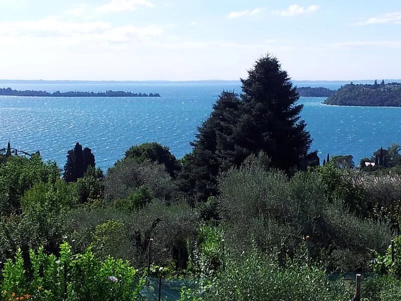 Great quiet close to nature IT017074C2EYARKVRM