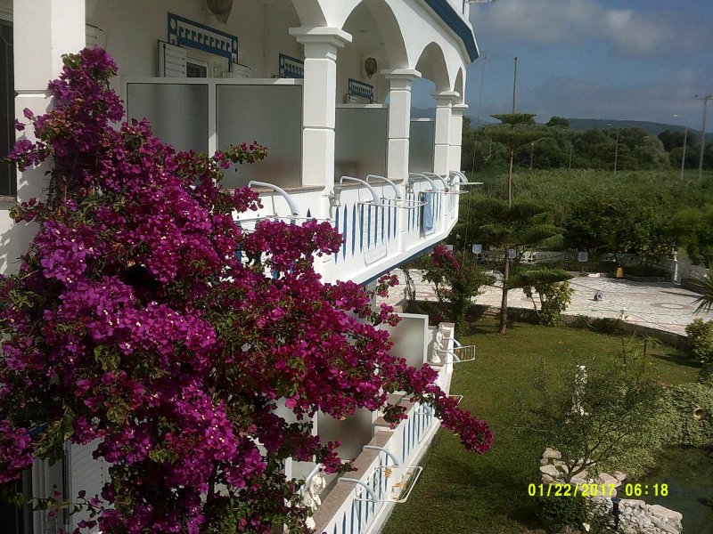 Gogas Palace