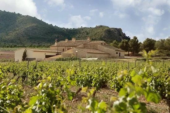 Bodega Finca Collado