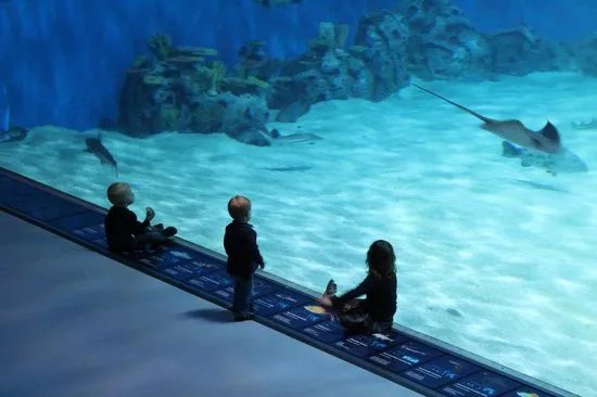 National Aquarium Denmark, Den Bla Planet