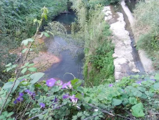 Parc de Mas Miquel