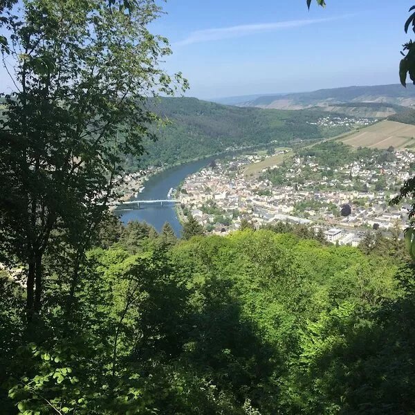 Our vacation home is located on the edge of the forest with a great view of the