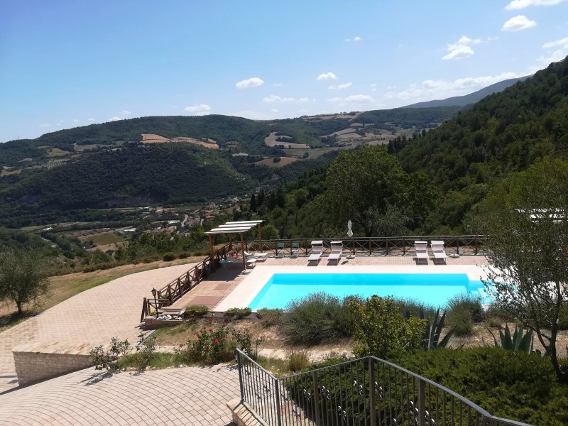 Agriturismo la Collina degli Olivi