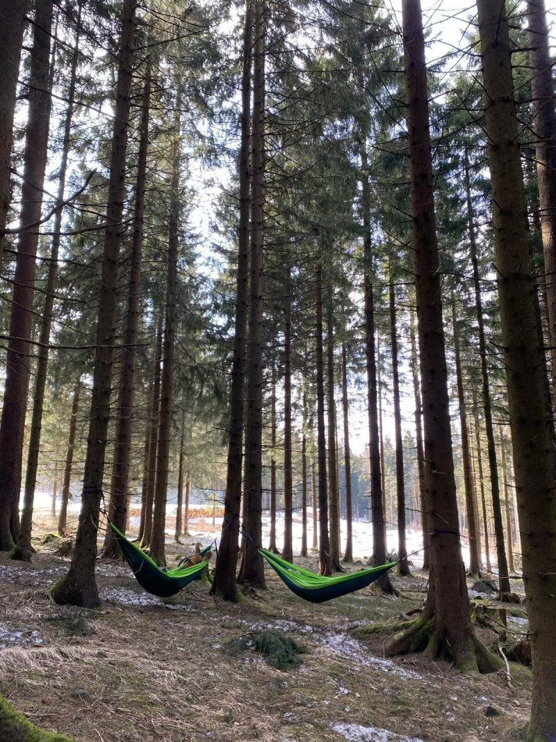 Hotel Haus Oberland