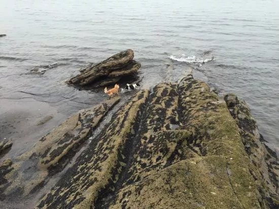 Fife Coastal Route