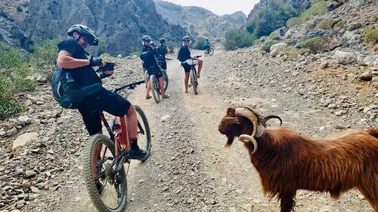 Bella Cycling Crete