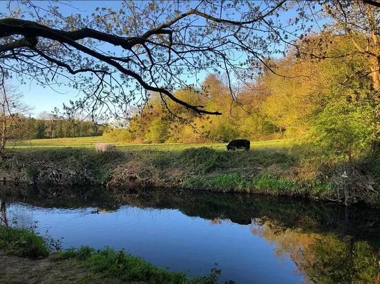 Haughton Dale Nature Reserve