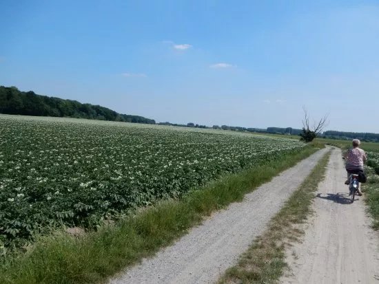 Drongengoed Bicycle Trail