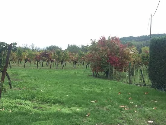Chateau Haute Brande