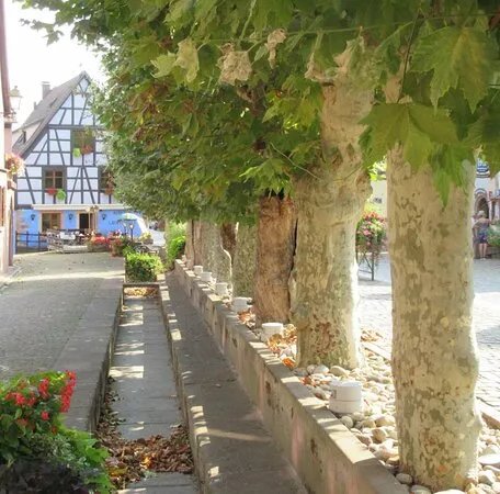 Vieille ville de Bergheim