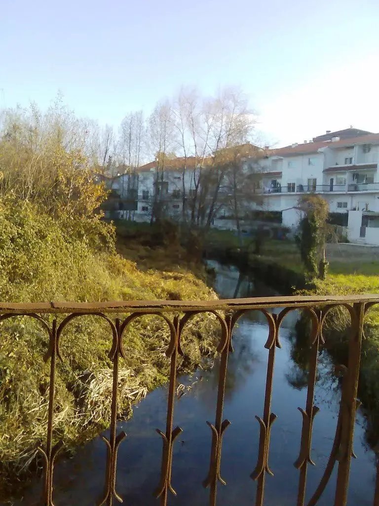 Pontao do raposo