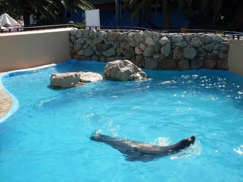 CARQUEIRANNE APARTMENT WITH POOL 2MN BEACH