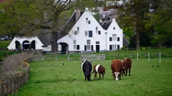 Molenplaats Sonsbeek