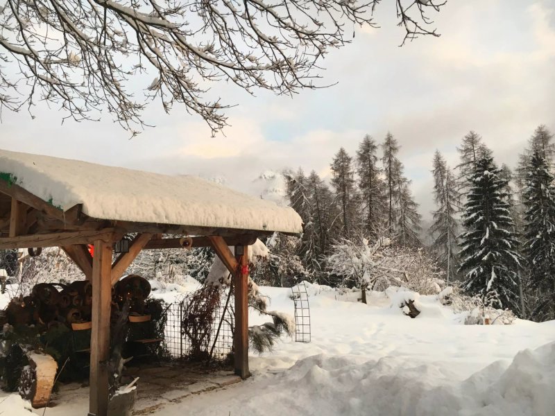 B&B Lo Scoiattolo