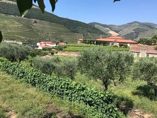 Quinta da Roeda