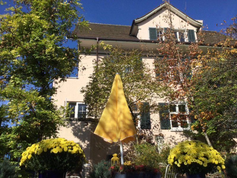 Garden Studio Apartment Zurichberg