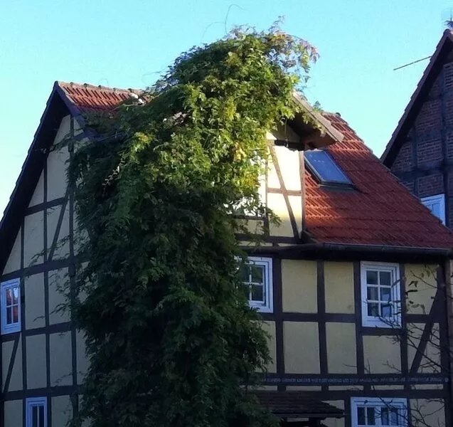 Quiet location in a very nice village close to the Edersee