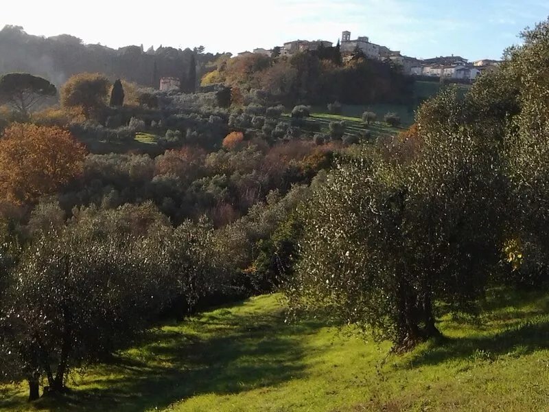 A Charming Authentic Manor House on the Chianti hills.