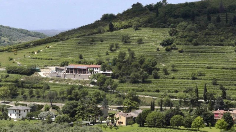 Azienda Agricola Marco Sambin