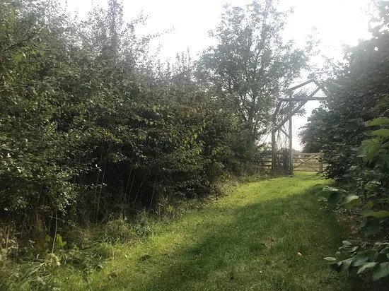Sheepdrove Natural Burial Wood