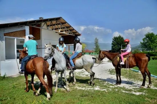 Equestrian Center Sivek