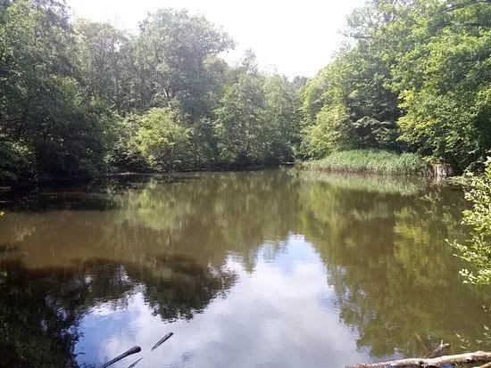 Etang Marie