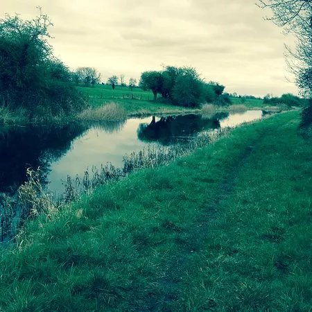 Royal Canal Way