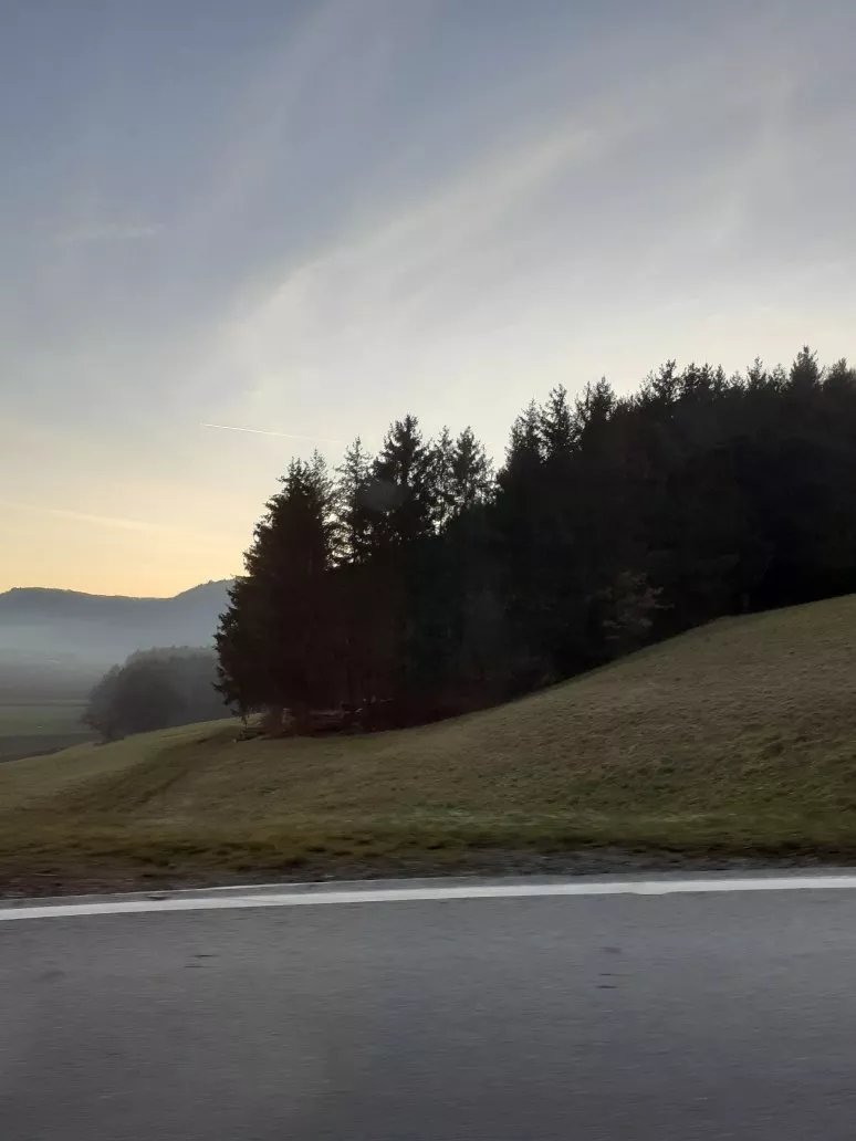 Gasthaus Lowen