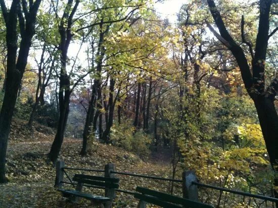 Horsky Park