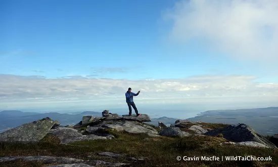 Wild Tai Chi