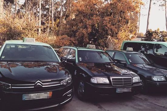 Taxis Domingues