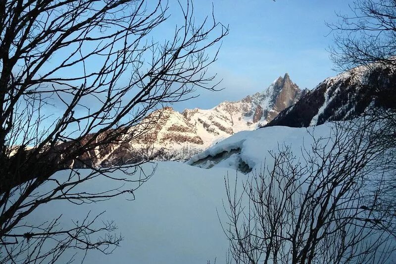 Large charming studio very quiet, magnificent view of Mont-blanc