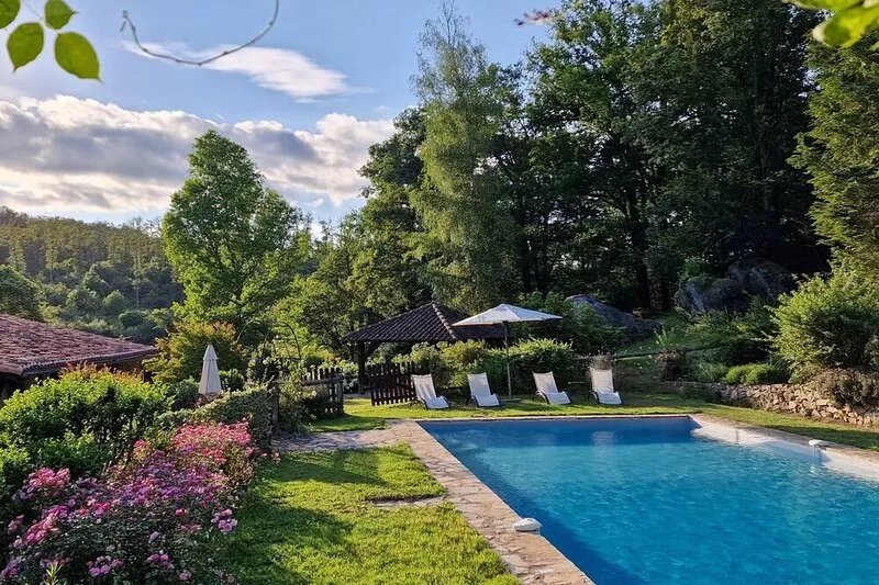 Peaceful country house with swimming pool surrounded by forest