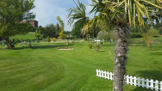 Mini Pro Golf Parks