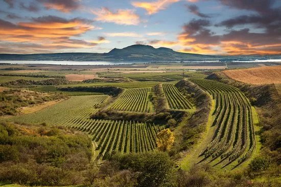 Explore Moravia