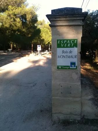 Bois de Montmaur