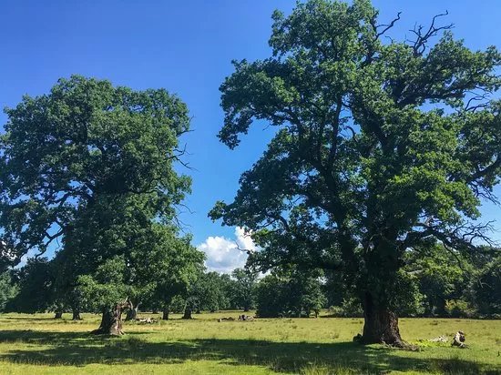 Parks & Nature