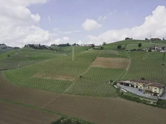 Cantina Saverio Vacca-barbaresco