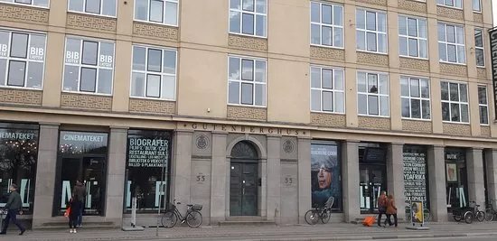 The danish film institute