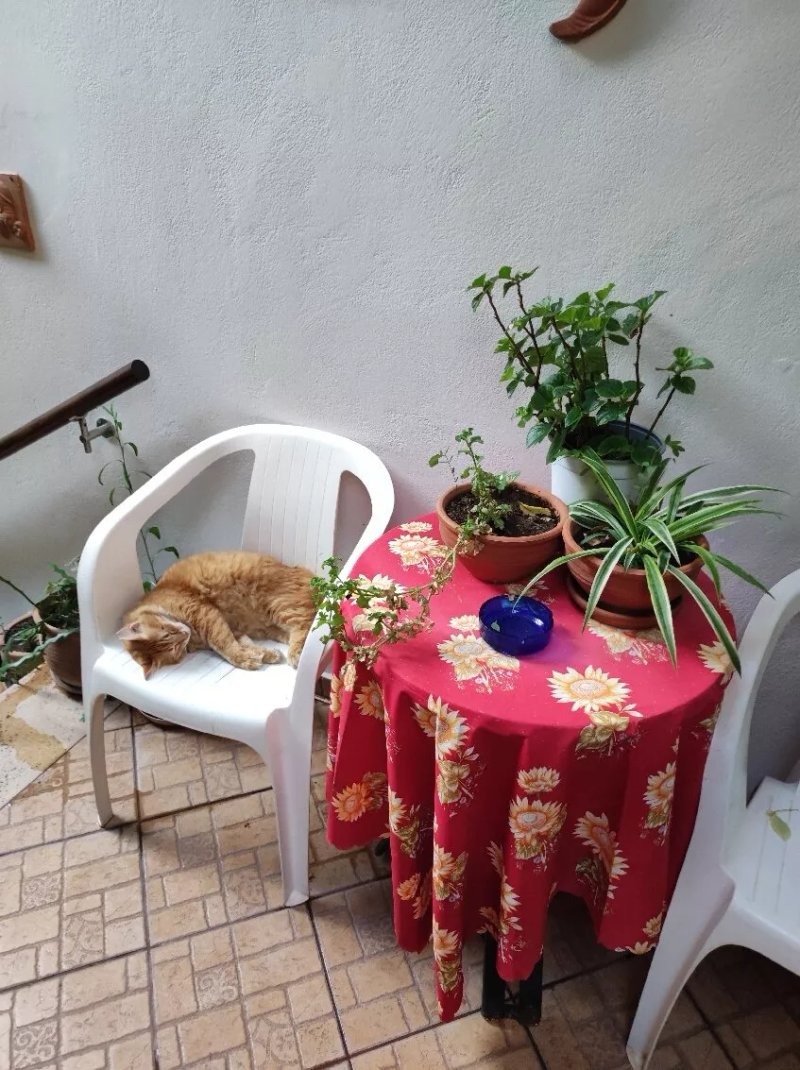 Pension Felippe